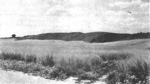 Šeškinės ozas Šeškinės ozas