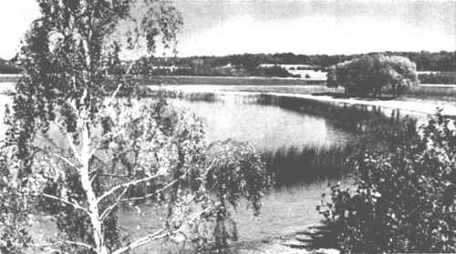 Didžiosios Rubikių ežero salos kampelis Didžiosios Rubikių ežero salos kampelis