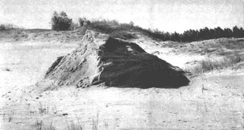 Nykstanti kopa netoli Pervalkos Nykstanti kopa netoli Pervalkos