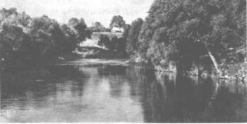 Merkys ties Puvočių kaimu Merkys ties Puvočių kaimu