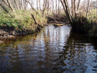 Lapišė prie Palapišių.Foto:Audrius Bernotaitis