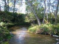 Laukystos upė prie žiočių