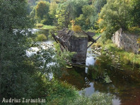 Šušvė (vasara). 46.5 km. Tilto likučiai.Foto:Audrius Zarauskas